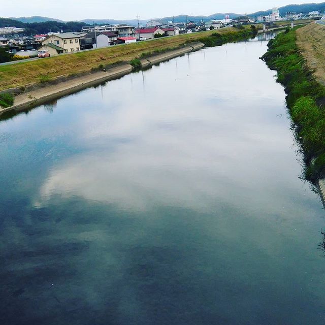 朝の高屋川