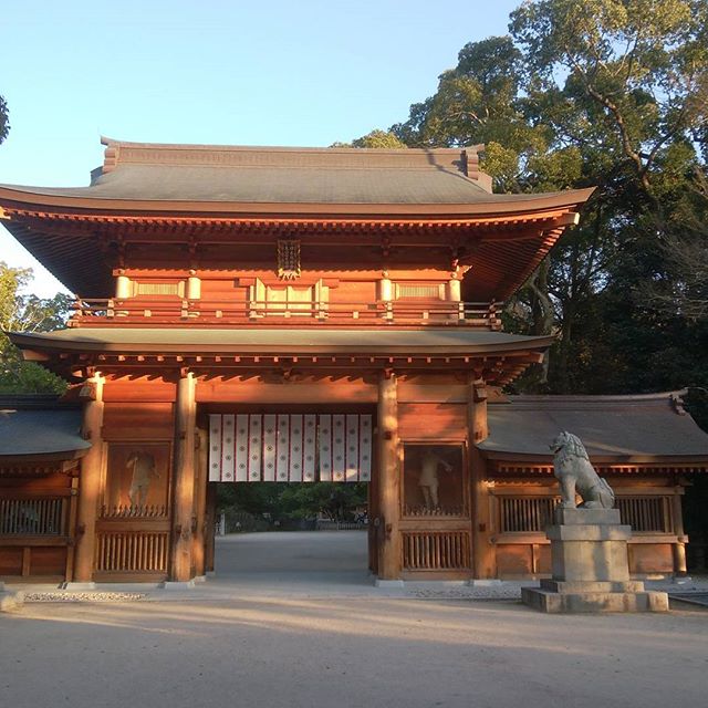 大山祇神社　5:00ギリギリにお参りできました　ありがたや