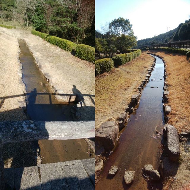 堂々公園にて　久しぶりにゆっくりゆったり🏵