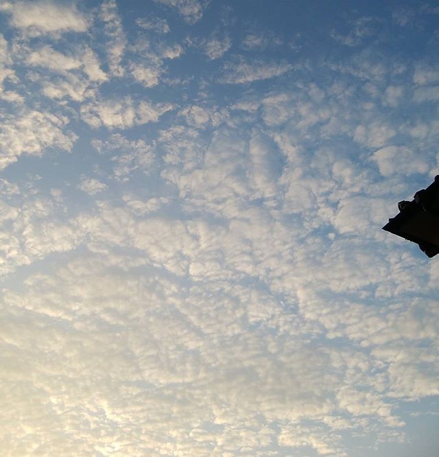 8/31  5:59am  今朝の空　スッカリ秋の空　明日からここら辺は新学期　子供達のこえが楽しみ　#福山神辺 #秋の空 #明日から新学期