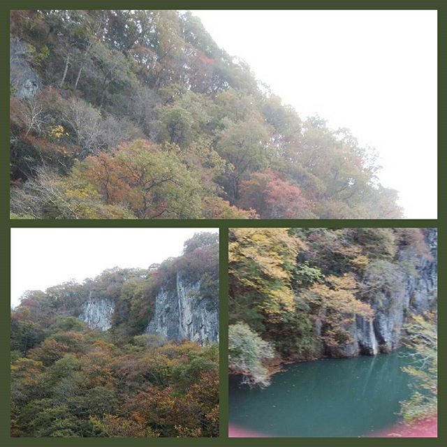 紅葉の帝釈峡　#福山神辺#紅葉