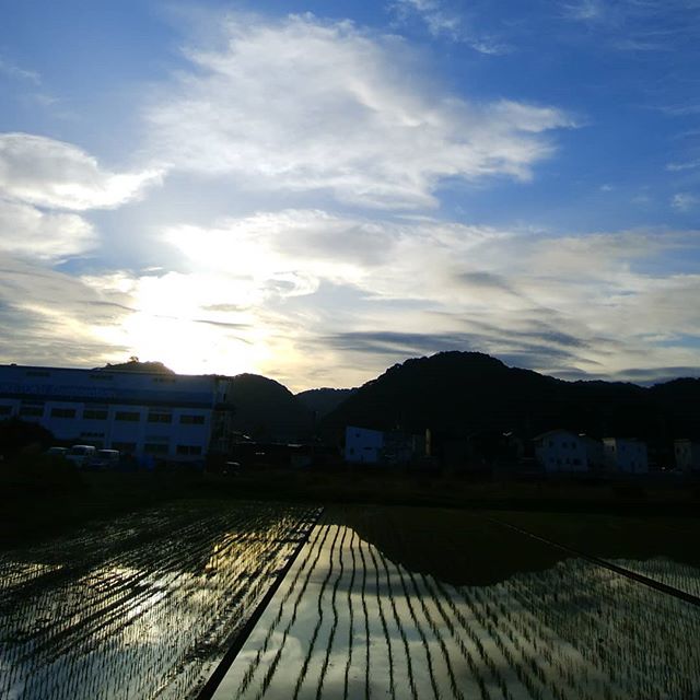 今朝の空田植えの終わった田んぼ美しいねちょこっとだけ原風景残ってる#福山神辺#今朝の空#田んぼ