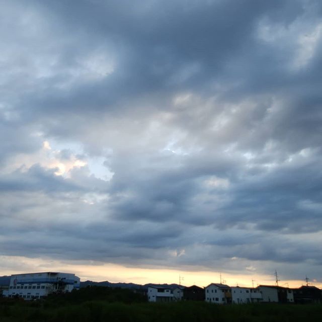 今朝の空　5:00少し肌寒い途中　オシロイバナをパチり#福山神辺 #寒い#オシロイバナ