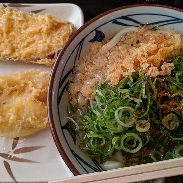 遅めの昼食素うどんにたっぷりのネギ天カス　天婦羅はクーポンを初めて使ってみたドッキリお腹一杯#福山神辺#うどん#昼食