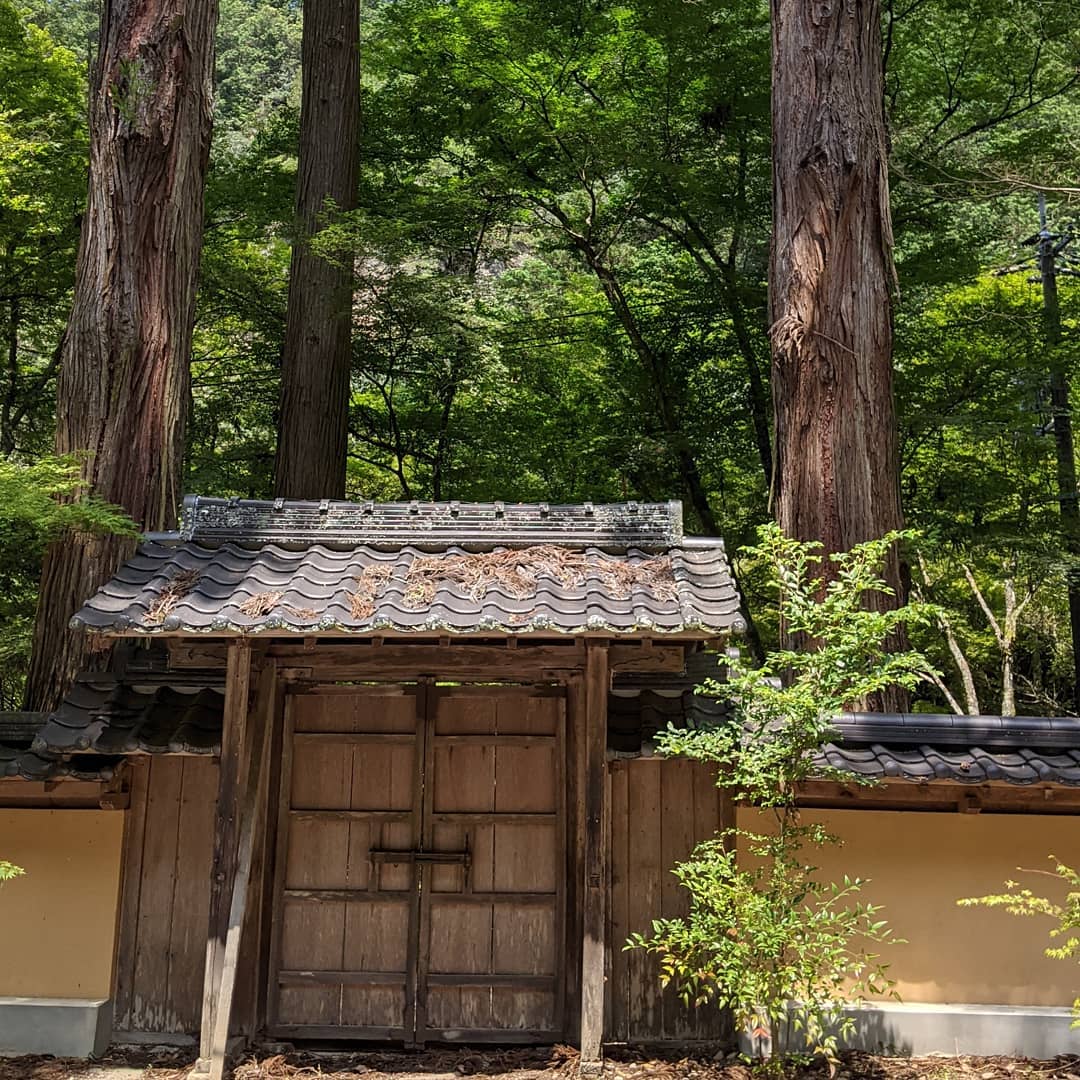 誰ひとり居ない境内　セミとせせらぎのみ手を合わせて帰る#福山神辺#三原#佛通寺